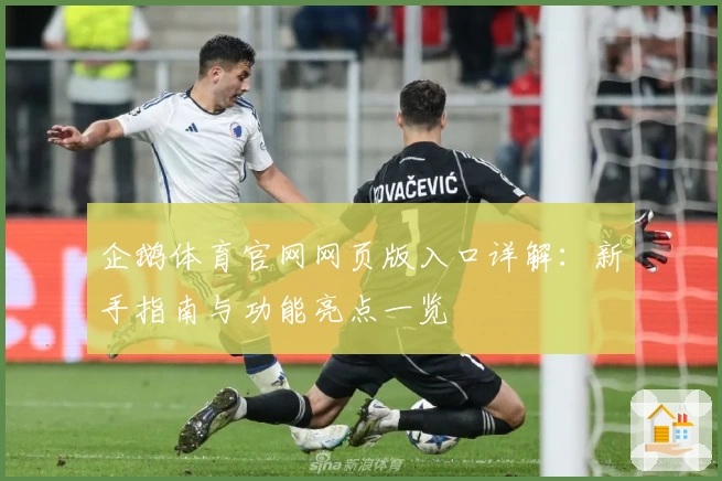 企鹅体育官网网页版入口详解：新手指南与功能亮点一览