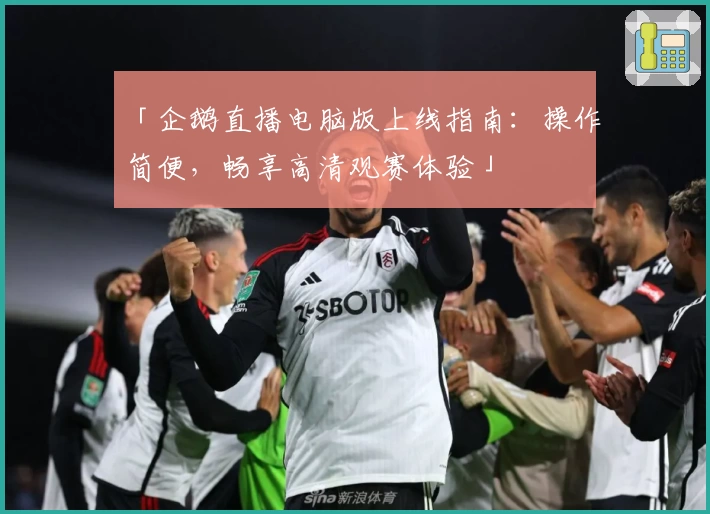 「企鹅直播电脑版上线指南:操作简便,畅享高清观赛体验」