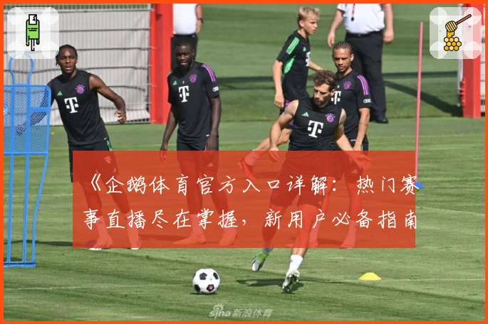 《企鹅体育官方入口详解：热门赛事直播尽在掌握，新用户必备指南》