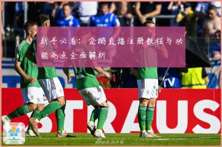 新手必看：企鹅直播注册教程与功能亮点全面解析