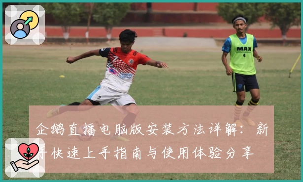 企鹅直播电脑版安装方法详解：新手快速上手指南与使用体验分享